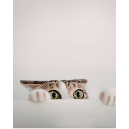 立即報名登記 (2)