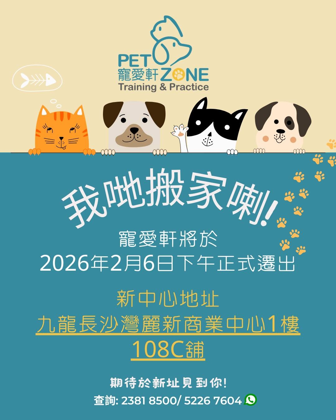 本頁圖片/檔案 - 628327609_921804670804380_7916271331004975643_n